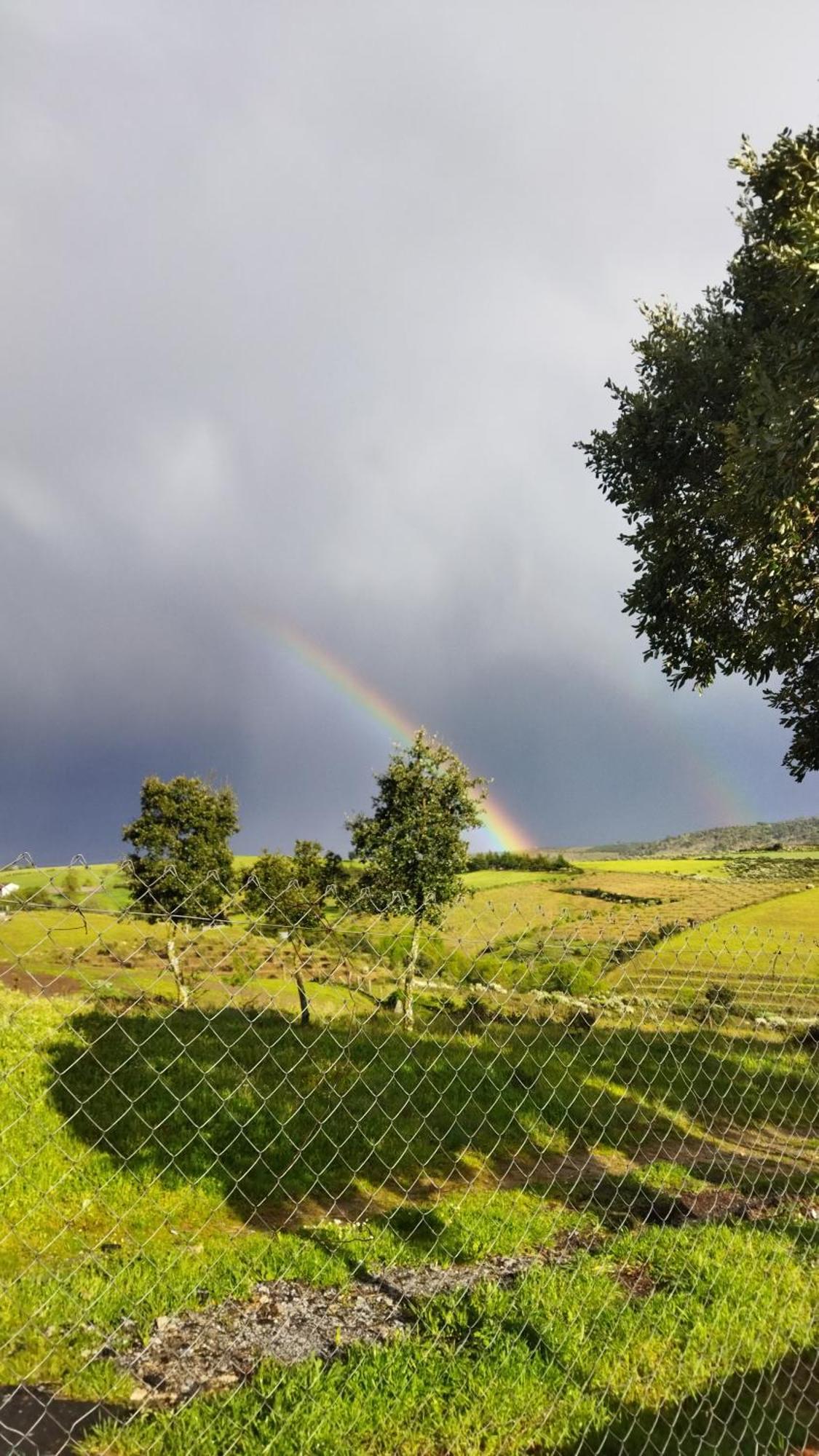 Holiday home O Recanto Do Sobreiro Vale de Porco