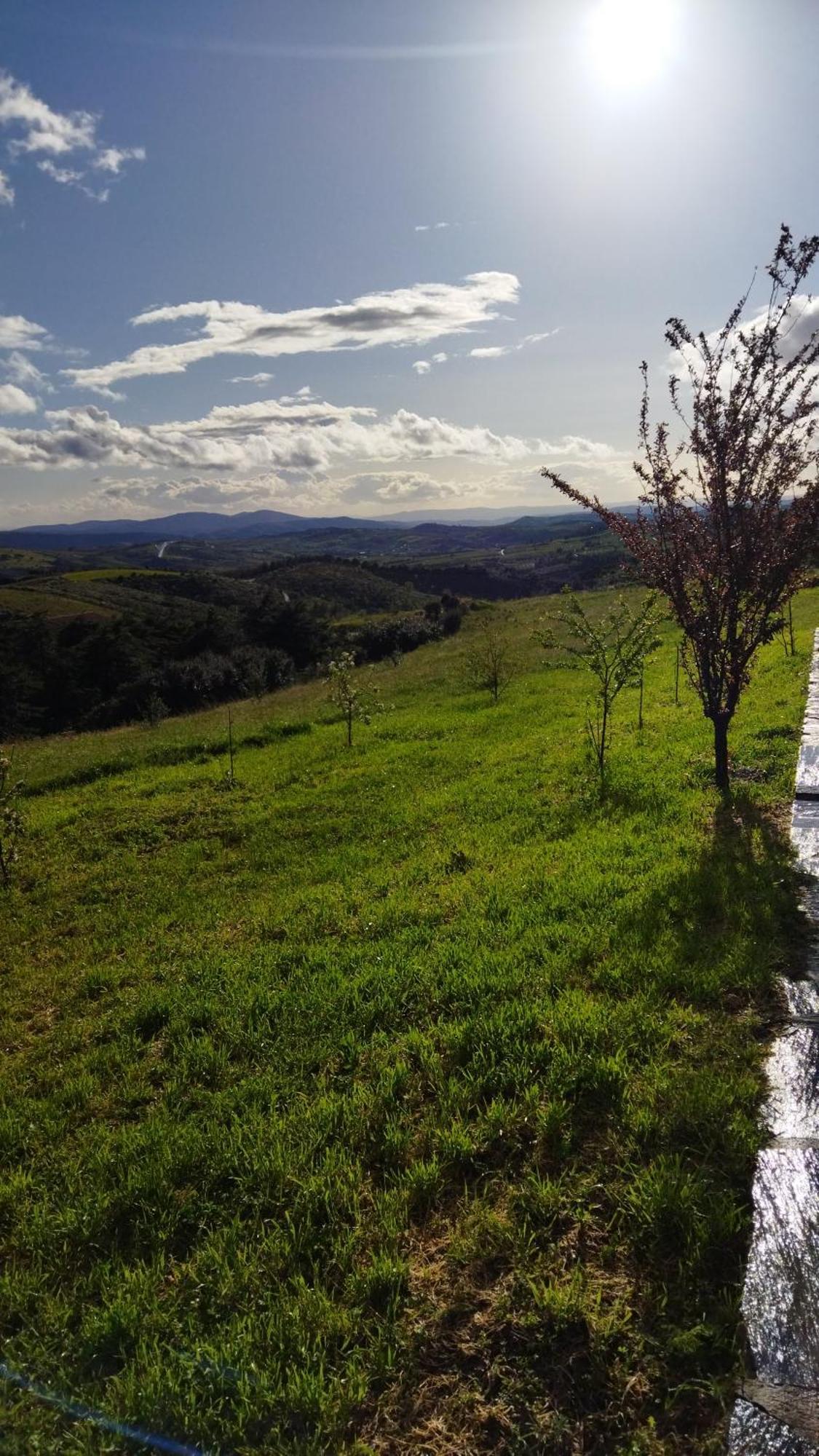 Holiday home O Recanto Do Sobreiro Vale de Porco